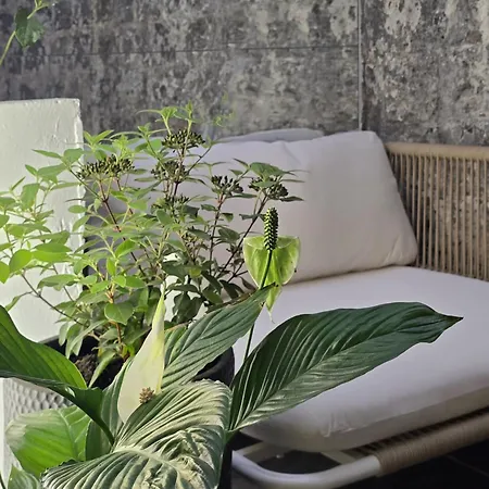 Aparthotel Hypercentre Mons